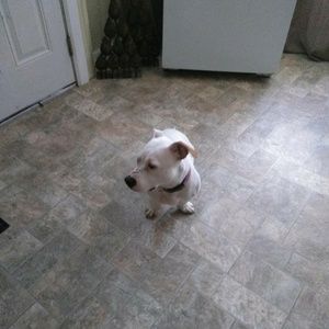 Meet your Posher, Javier